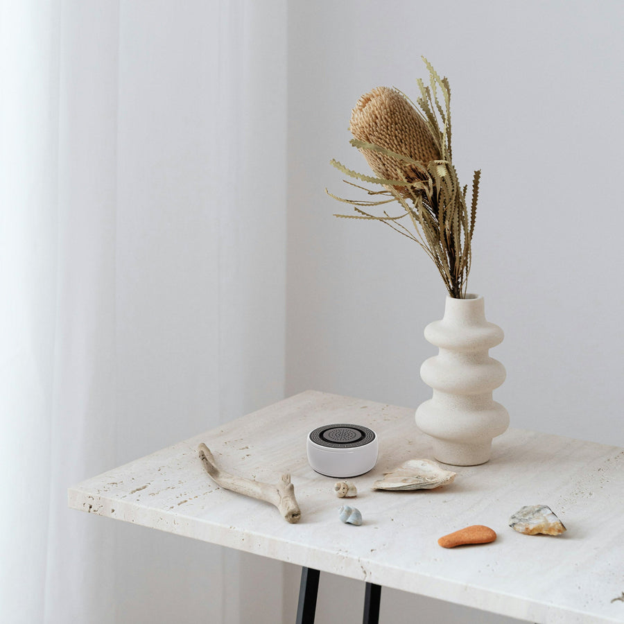 SIBŌ on a marble side table with a ceramic vase and dried flowers