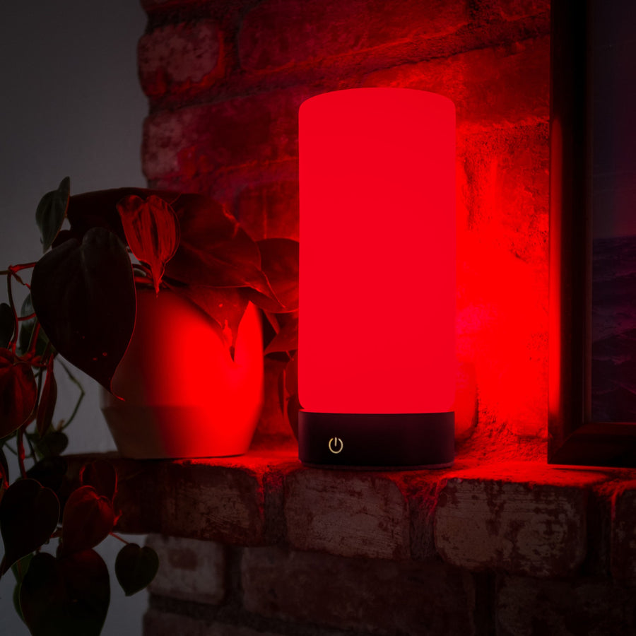 RŪBI glowing red on a brick ledge beside a potted plant